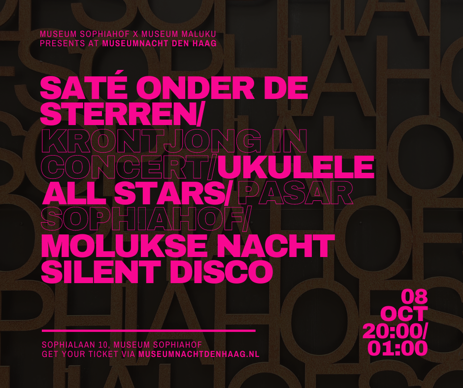 Museumnacht Den Haag, Molukse nacht Silent disco