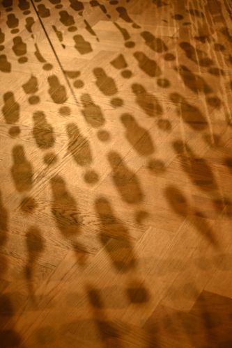 Collectie, deelcollecties, depot